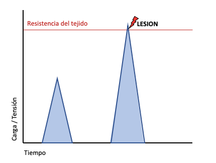 Carga lesion 8 hs